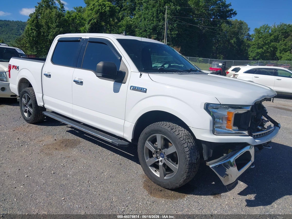 2019 FORD F-150 XLT