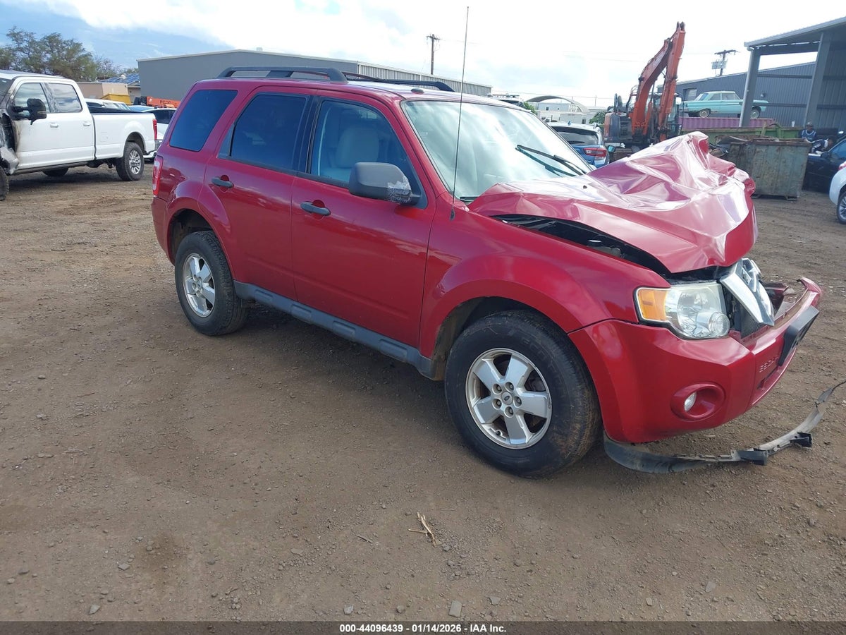 2010 FORD ESCAPE XLT