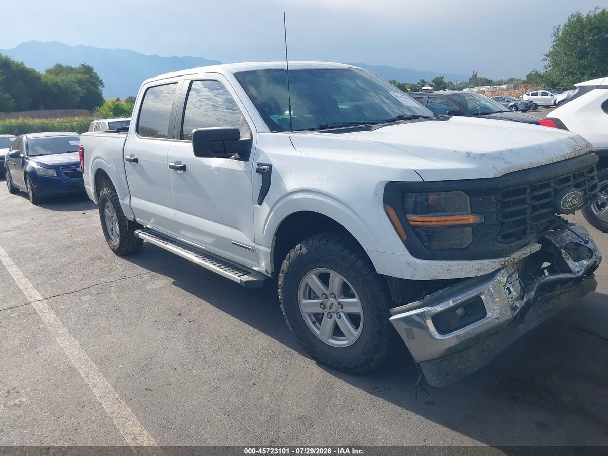 2024 FORD F-150 XL HYBRID