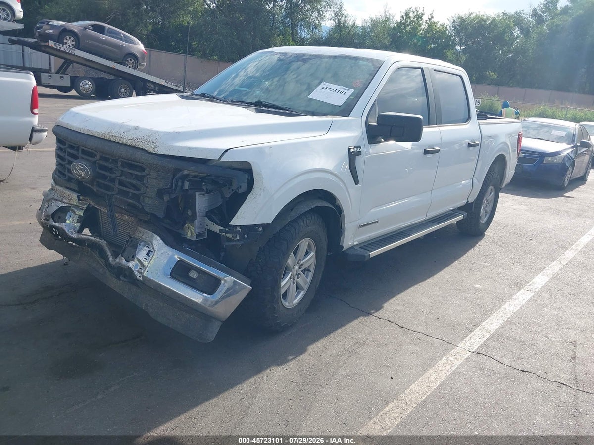 2024 FORD F-150 XL HYBRID — снимка 2