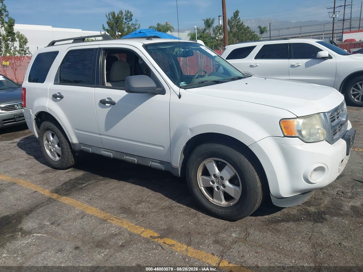 2011 FORD ESCAPE XLT