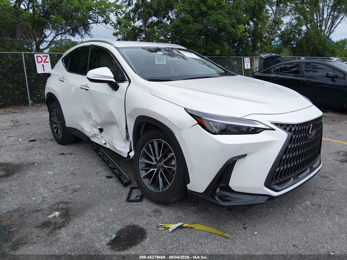 2025 LEXUS NX 250