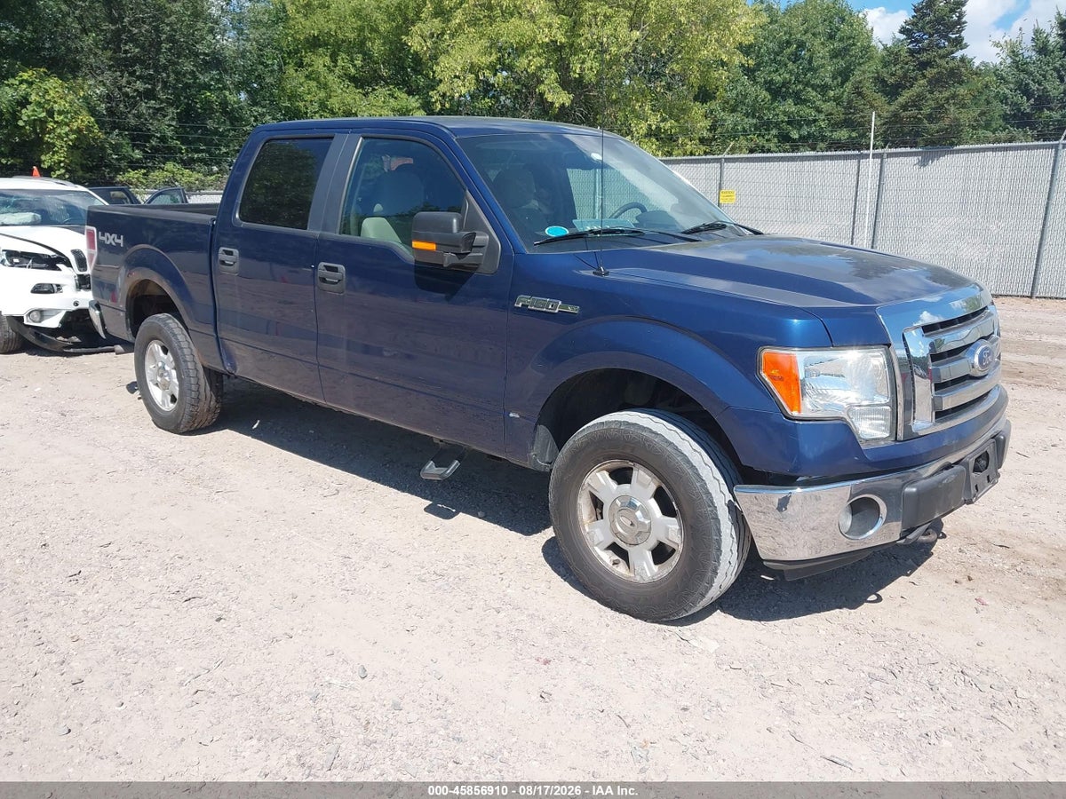 2010 FORD F-150 XL/XLT