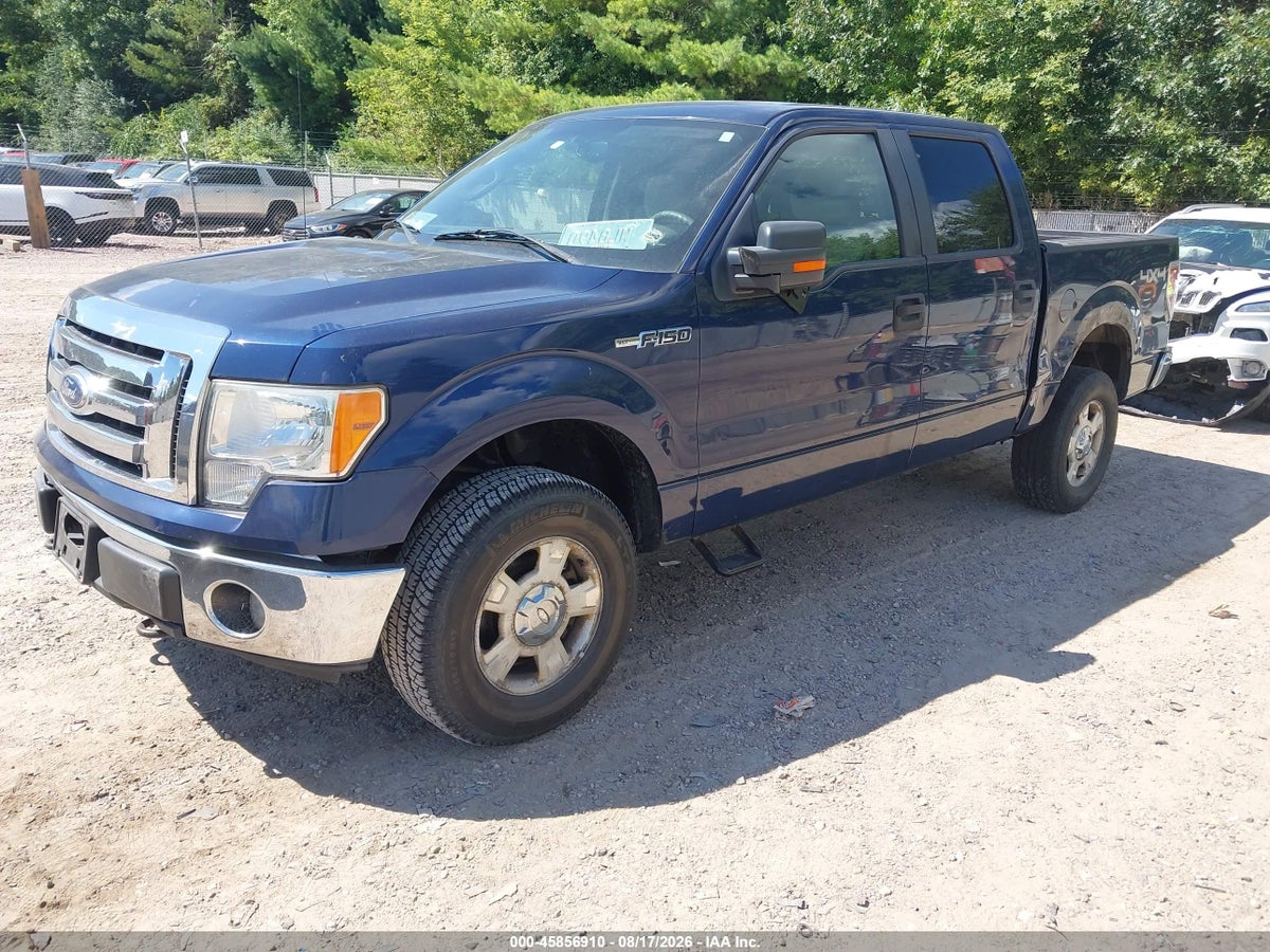 2010 FORD F-150 XL/XLT — снимка 2